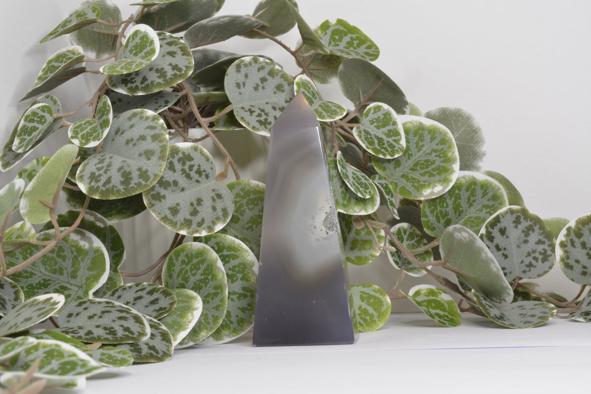 Agate Free Form 244g