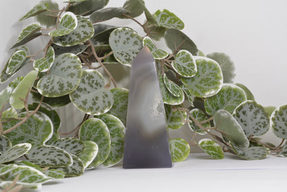 Agate Free Form 244g