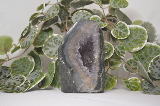 Amethyst Cathedral 441g