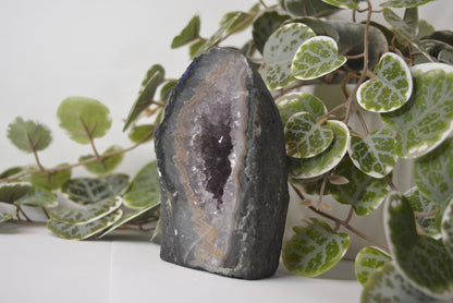 Amethyst Cathedral 441g