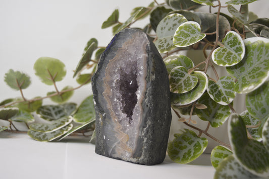 Amethyst Cathedral 441g