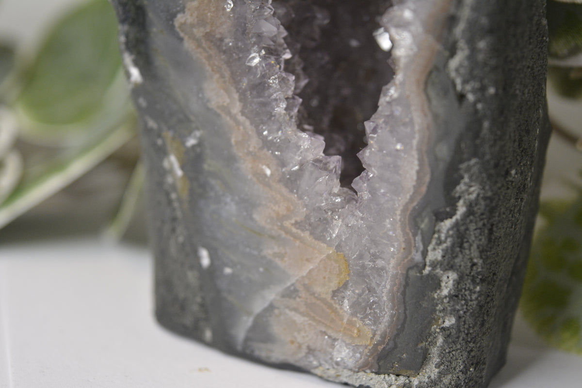 Amethyst Cathedral 441g