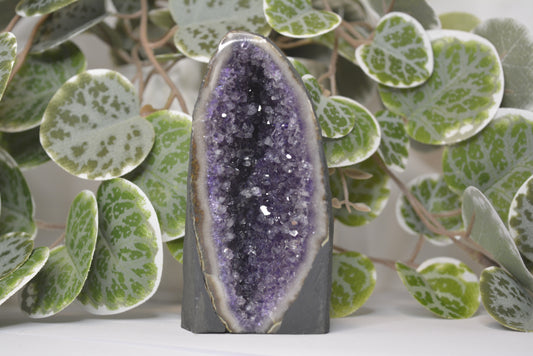 Amethyst Cathedral 300g
