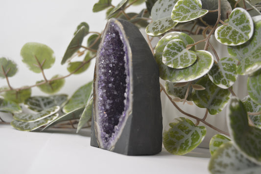 Amethyst Cathedral 300g