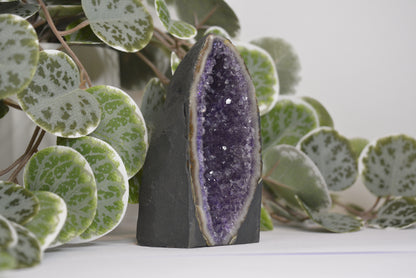Amethyst Cathedral 300g