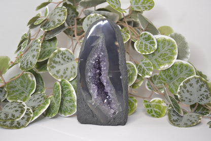 Amethyst Cathedral 613g