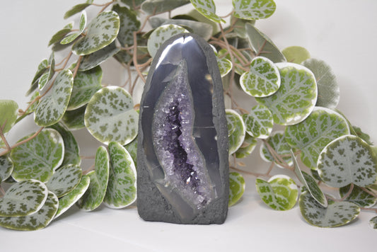 Amethyst Cathedral 613g