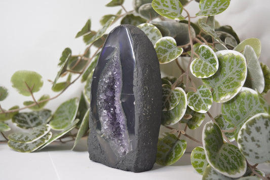 Amethyst Cathedral 613g