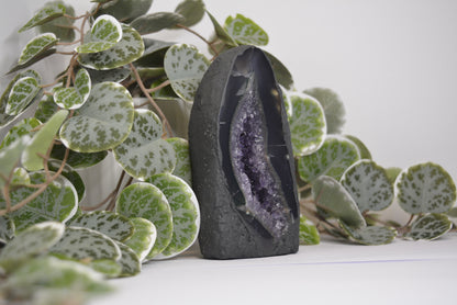 Amethyst Cathedral 613g