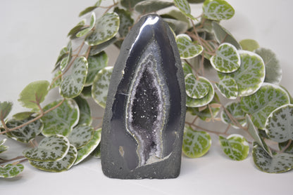 Amethyst Cathedral 706g