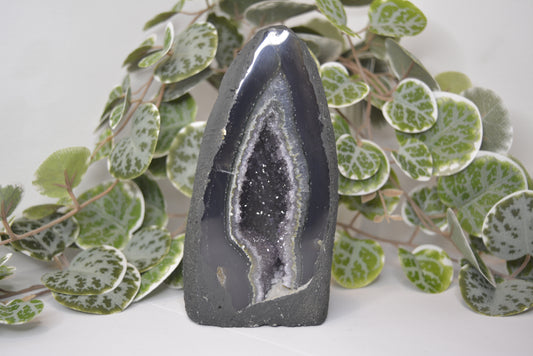 Amethyst Cathedral 706g