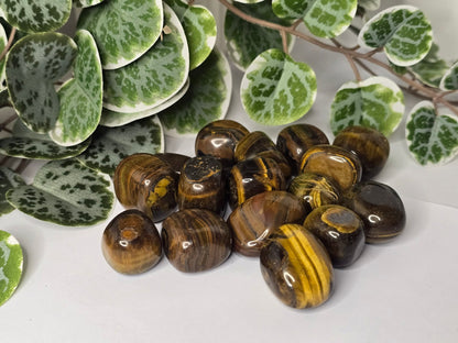 Tigers Eye Tumbles 20g