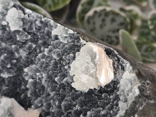Apophyllite with Stilbite Cut Base 2.14kg