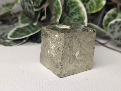 Pyrite Cube 247g